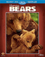 [book cover]