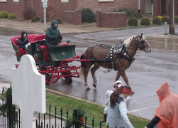 [Horse-Drawn Carriage Ride]